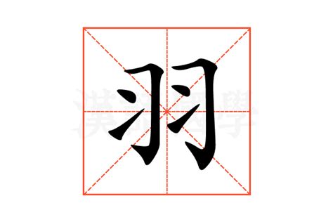 羽字邊的字|部首是「羽」的國字一覽